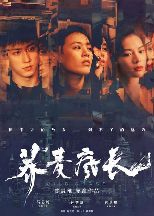 日本一桥大学成绩单办理
